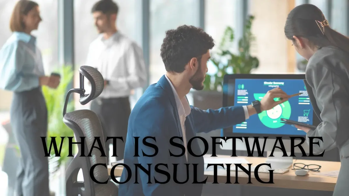 What is Software Consulting and Its Impact on Organizational Success