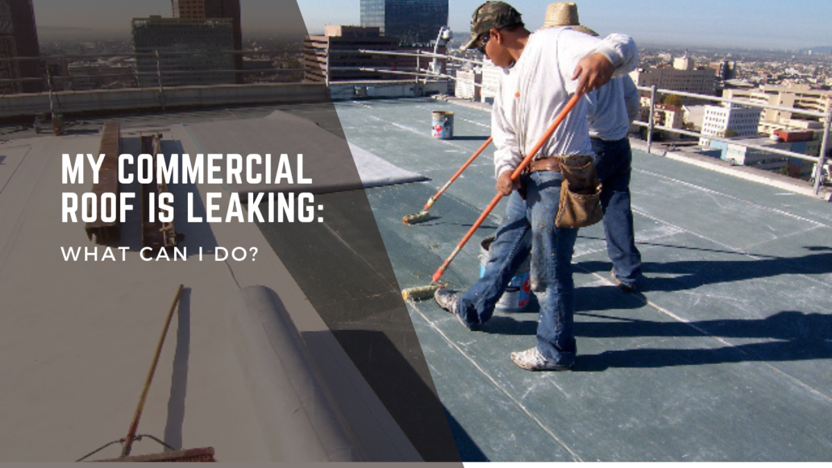 My Commercial Roof Is Leaking: What Can I Do?