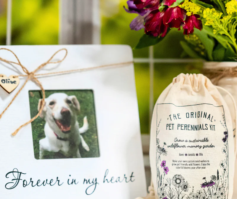 Comforting power of pet loss sympathy gifts: Helping clients heal